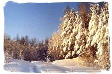 Forest-park protective zone. The Novokavgolovsky forest-park in  winter