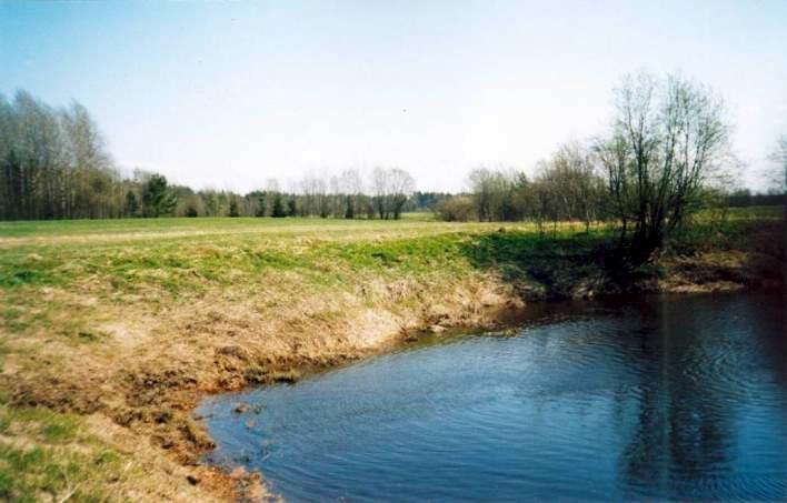 The River Suyda near Vvedenskoye Village