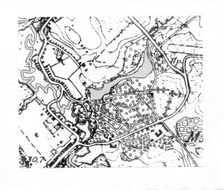 Vartemyaki  country estate. Plan. 1890